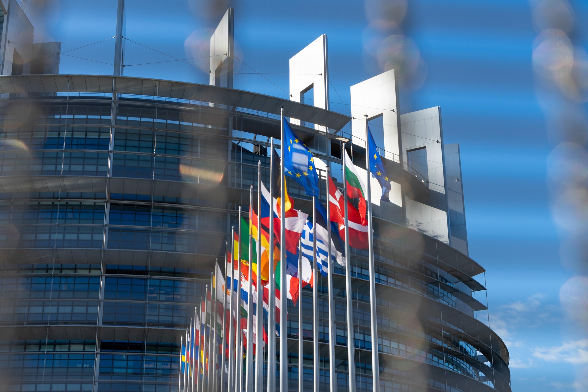 Erasmus for Young Entrepreneurs